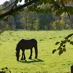 Les Hauts De La Gerardiere Apartamento Vertou