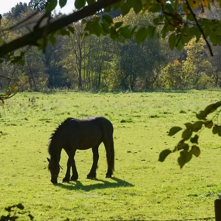 Les Hauts De La Gerardiere Apartman Vertou