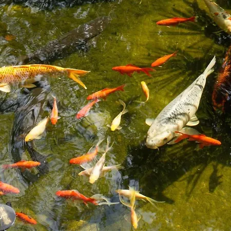 Apartman Les Hauts De La Gerardiere Vertou