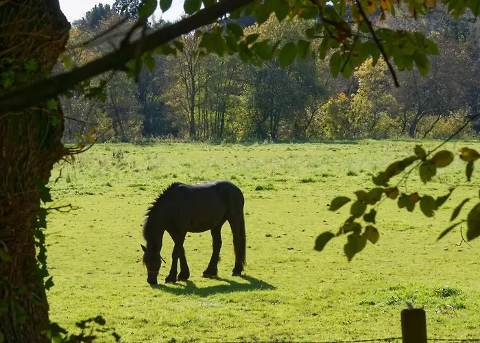 Les Hauts De La Gerardiere 아파트 베르통