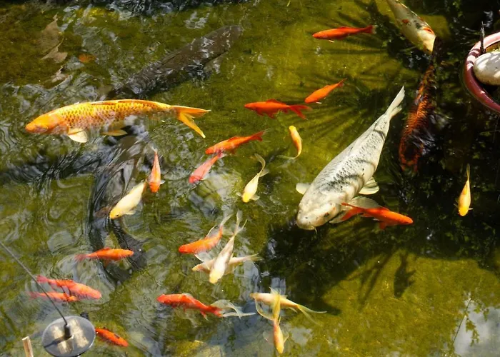 아파트 Les Hauts De La Gerardiere 베르통